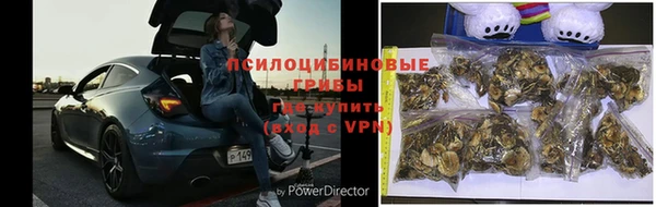 тгк Алзамай