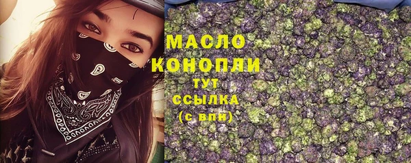 тгк Алзамай